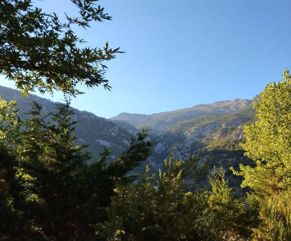 Akros Oreon Green Hotel Crete Gardens Vue Monagne