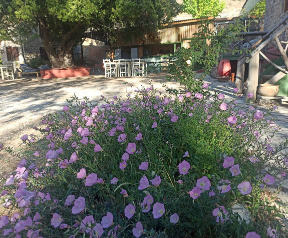 Akros Oreon Green Hotel Crete Exterior 857