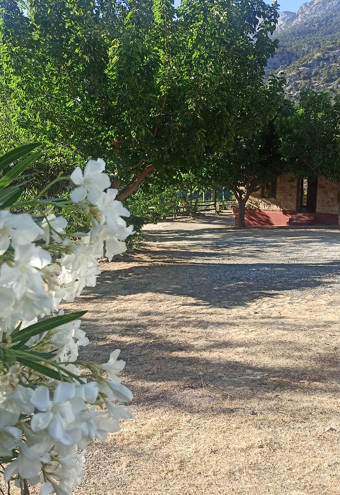 Akros Oreon Green Hotel Crete Gardens 421