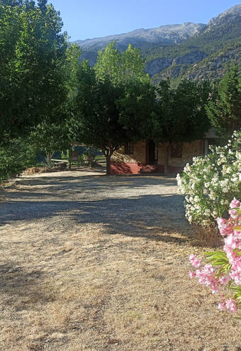 Akros Oreon Green Hotel Crete Gardens 458