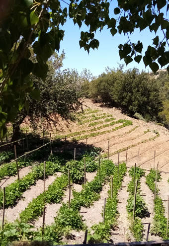 Akros Oreon Green Hotel Crete Gardens 630