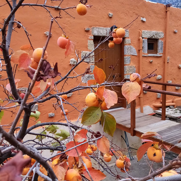 Akros Oreon Green Hotel Crete Honeymoon House 452